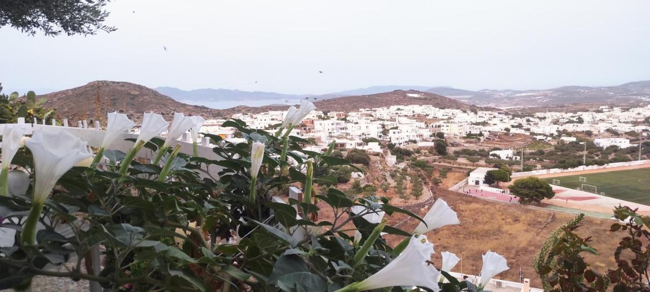 Prickly Pear House Otel Plaka  Dış mekan fotoğraf