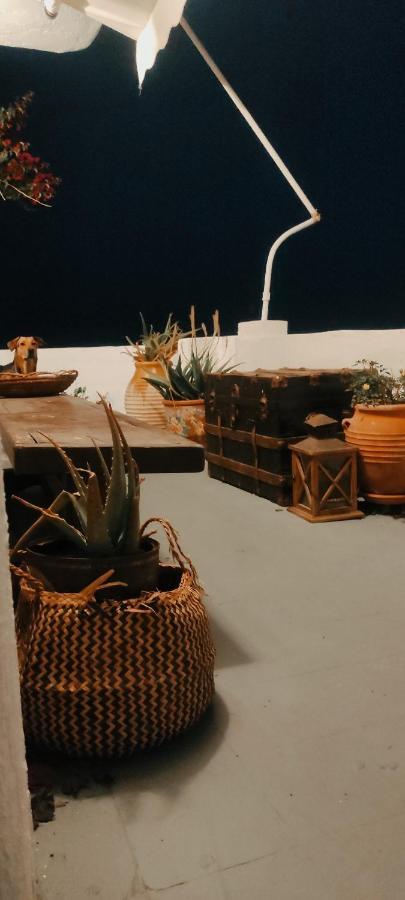 Prickly Pear House Otel Plaka  Dış mekan fotoğraf